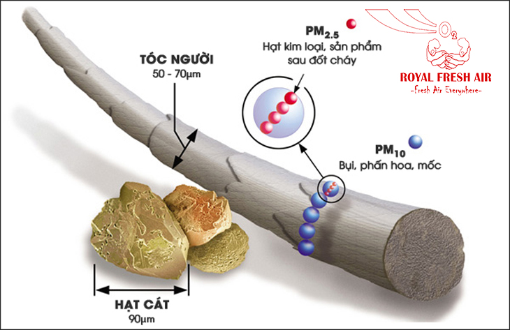 Bụi mịn Pm 2.5 là gì? Nguyên nhân gây ra nhiều bụi mịn trong không khí.