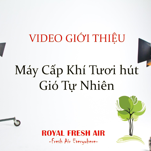 VIDEO giới thiệu về máy lọc không khí hút gió tự nhiên Royal Fresh Air