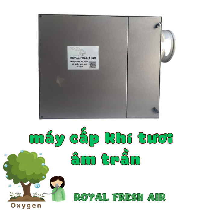 Máy cấp khí tươi sạch Royal Fresh Air 1 chiều lưu lượng gió 250m3/h
